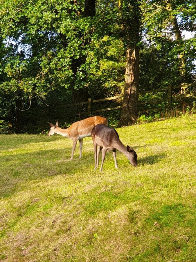 Wye Valley Retreat Чепстоу Экстерьер фото